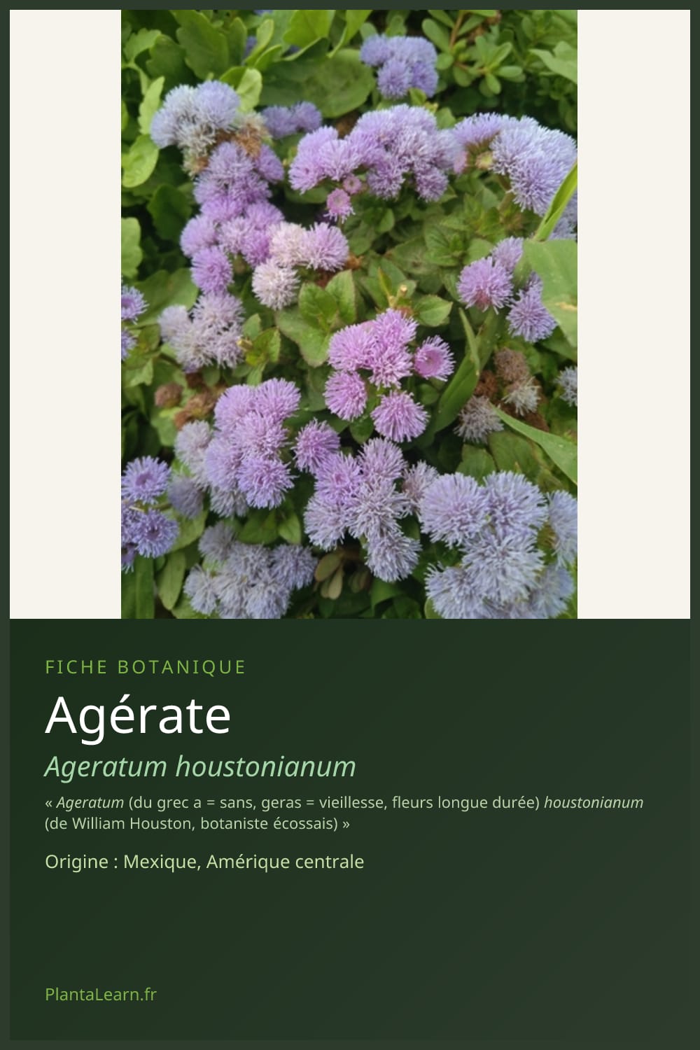 Agérate — Pin Pinterest