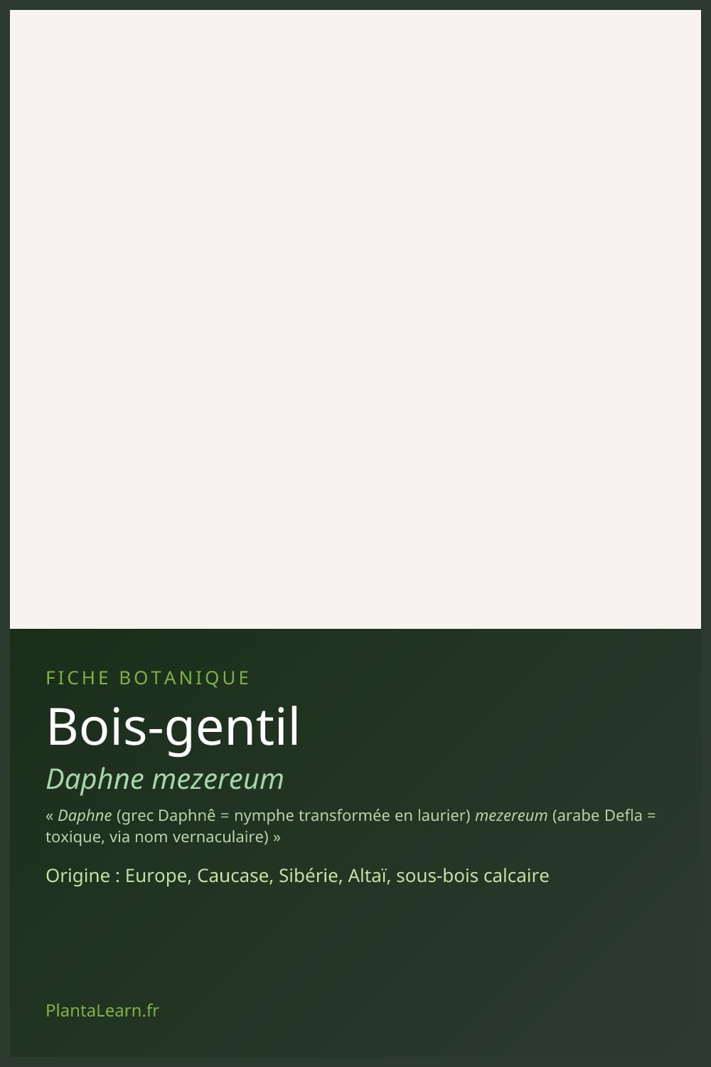 Bois-gentil — Pin Pinterest