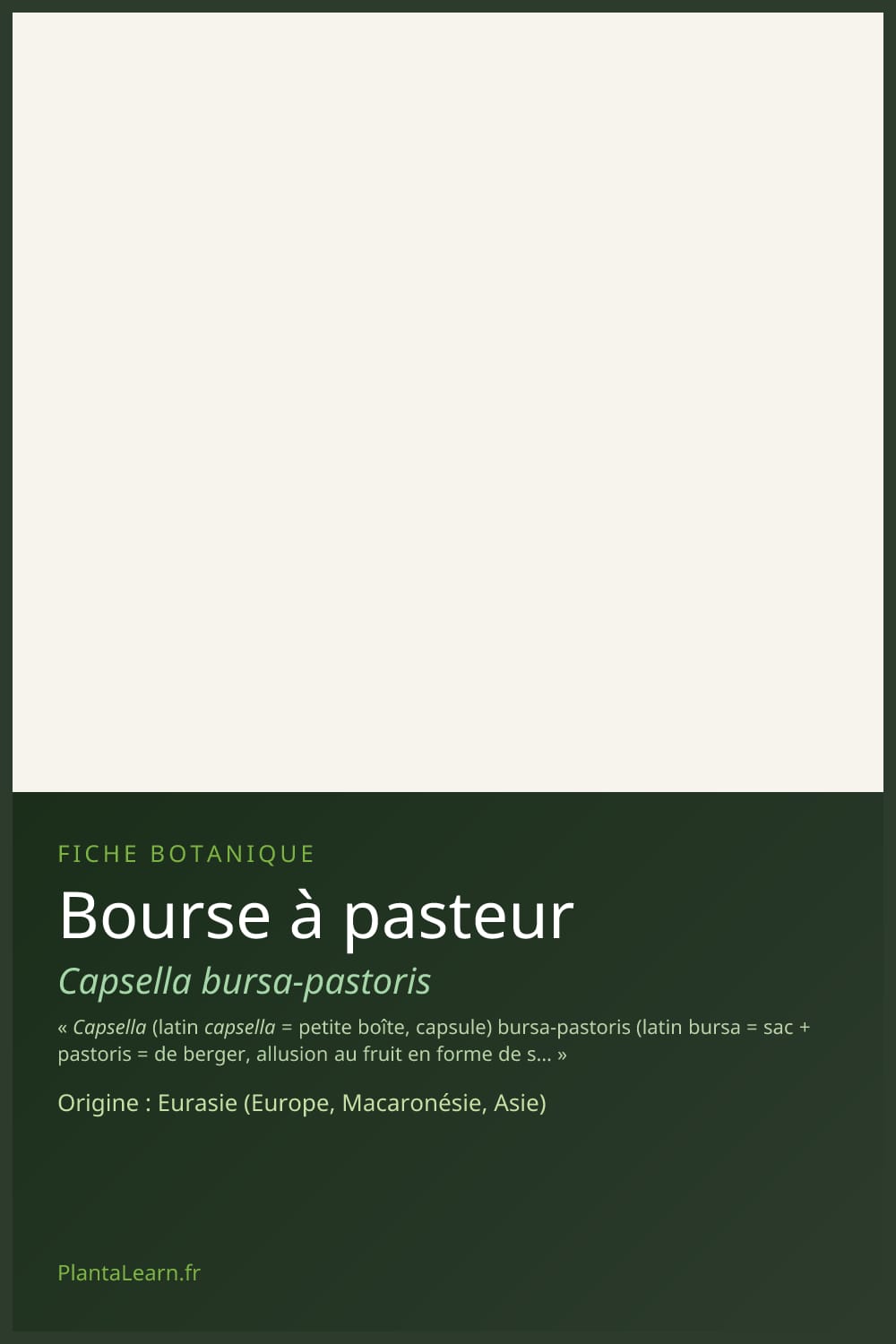 Bourse à pasteur — Pin Pinterest