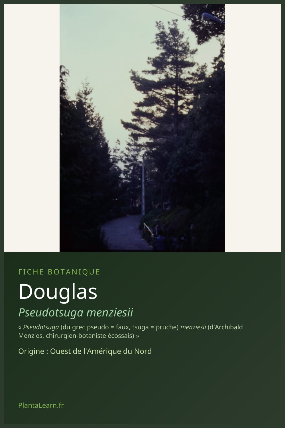 Douglas — Pin Pinterest