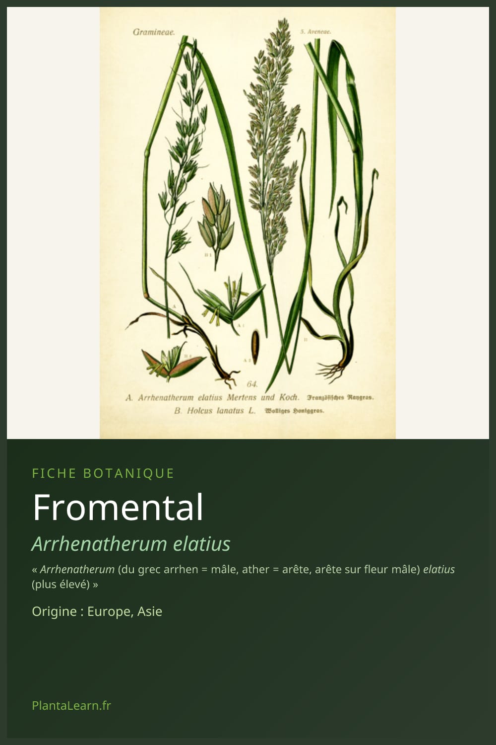 Fromental — Pin Pinterest