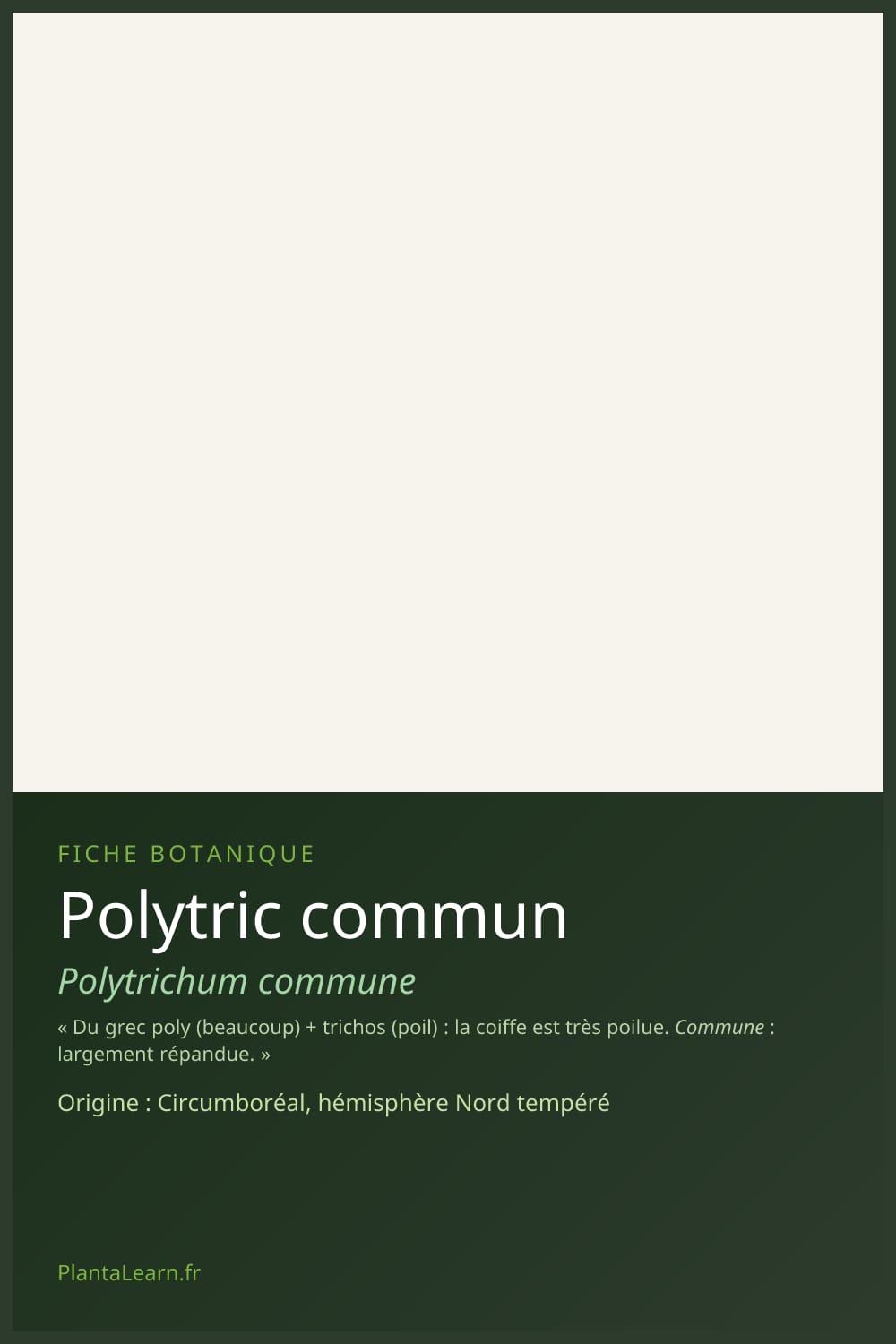 Polytric commun — Pin Pinterest